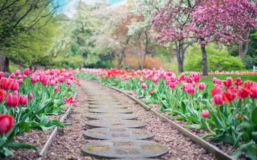 Allt för en blomstrande trädgård